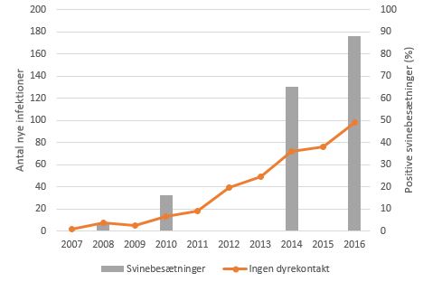 Graf der viser antallet af infektioner med husdyr-MRSA hos personer uden svinekontakt og andelen af positive svinebesætninger