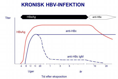 Kronisk HBV-infektion