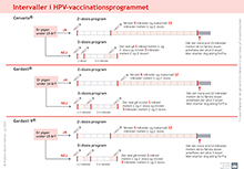 Lille billede af skema med vaccinationsintervaller for HPV