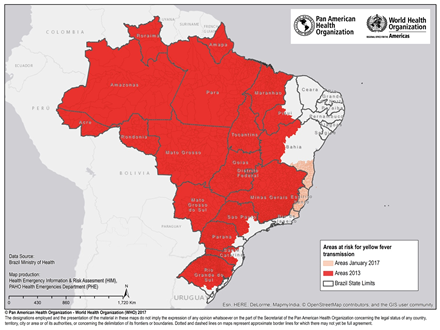 Gul feber Brasilien