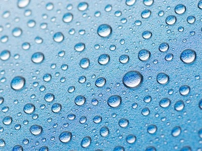 Bakterier, Parasitter og Svampe
Legionella og Mycoplasma
T. 3268 8600
@ afdMI@ssi.dk
Telefontid:
Mandag-fredag kl. 8.00-15.00