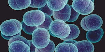 Antibiotikaresistens