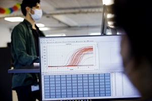 PCR-analyse