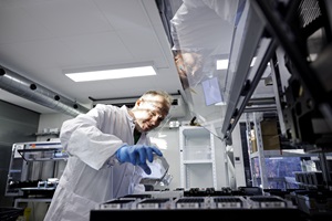 PCR-analyse