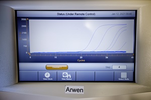 PCR-analyse